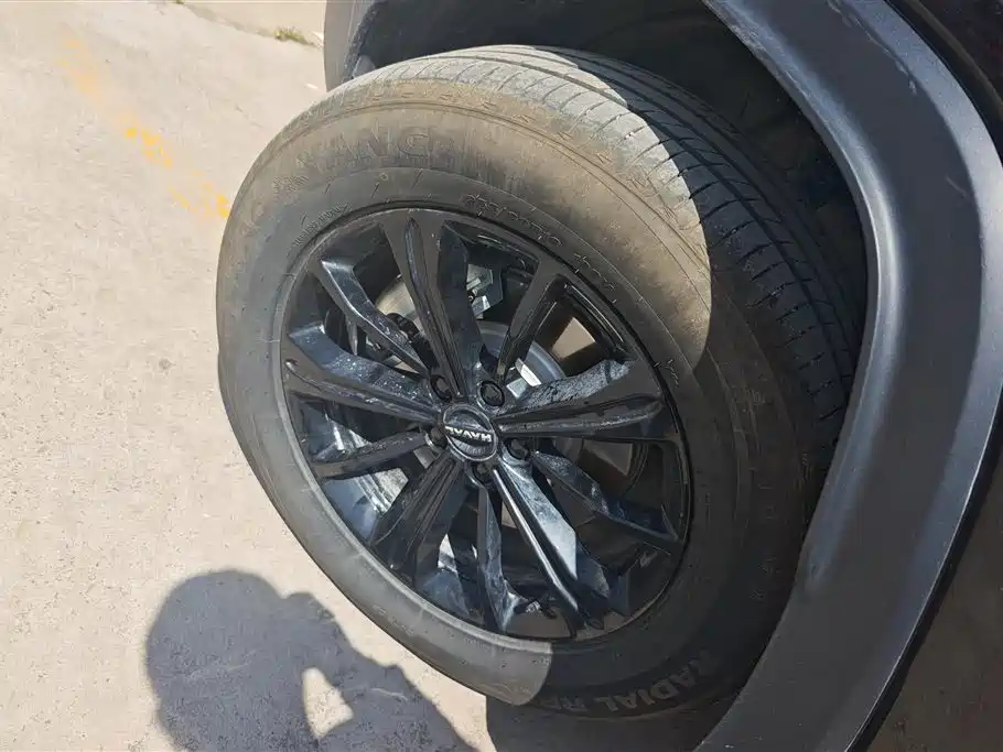 HAVAL RAPTORS NEW ENERGY