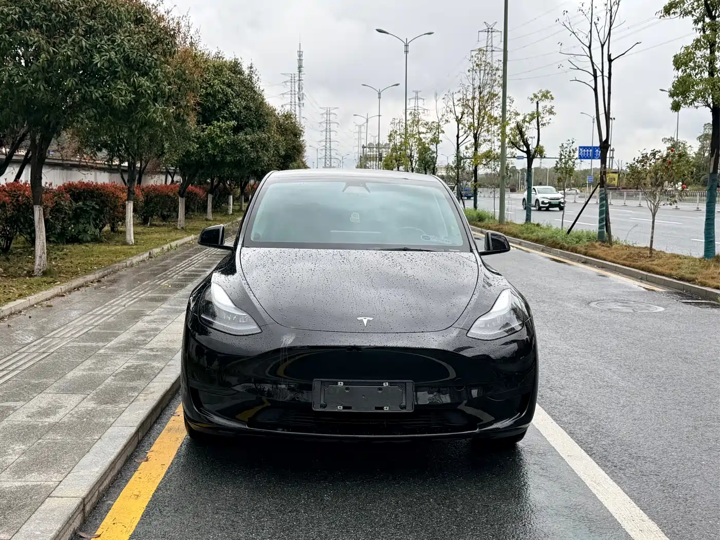 TESLA MODEL Y