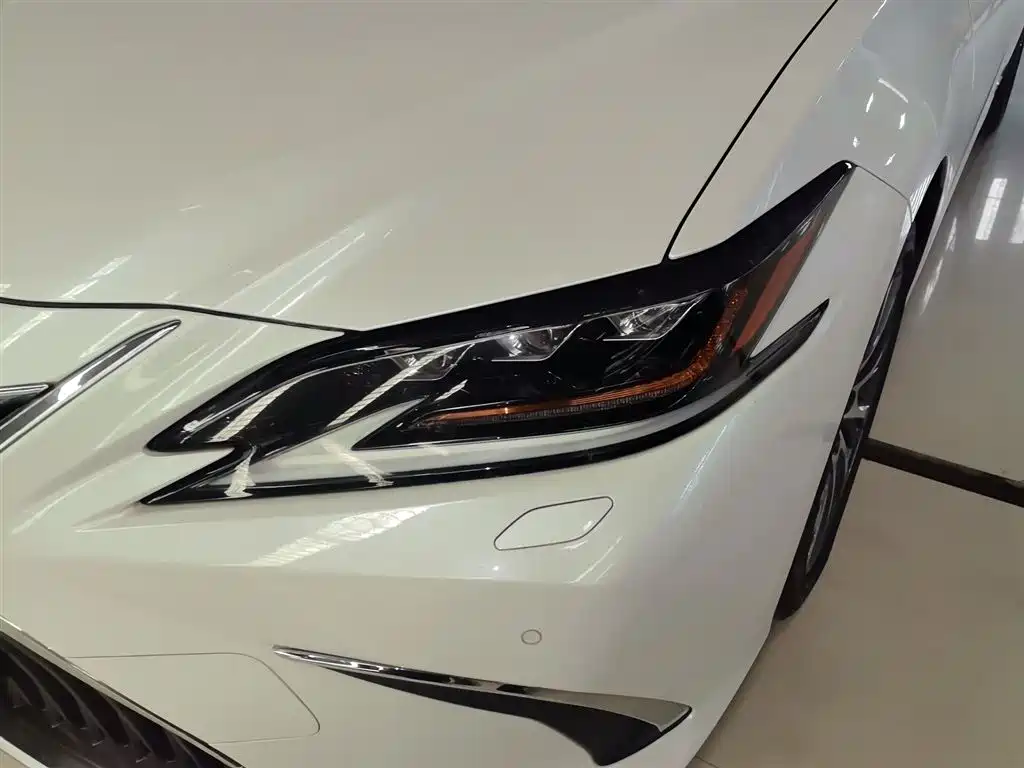 Lexus ES 2018 300h Premium Edition China V фото 18