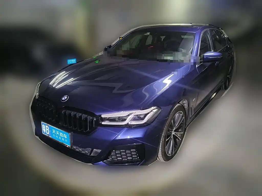 BMW BMW 5 Series 2021 530Li Leading M Sport Package