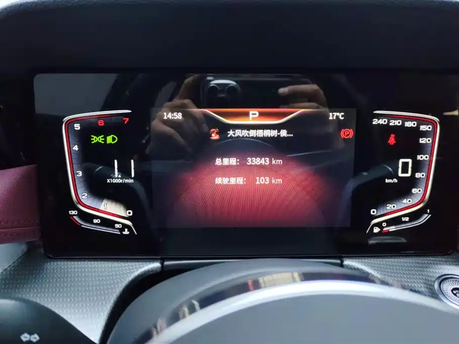 Hongqi H5 2023 1.5T DCT Smart Connect Flag Rhythm фото 14