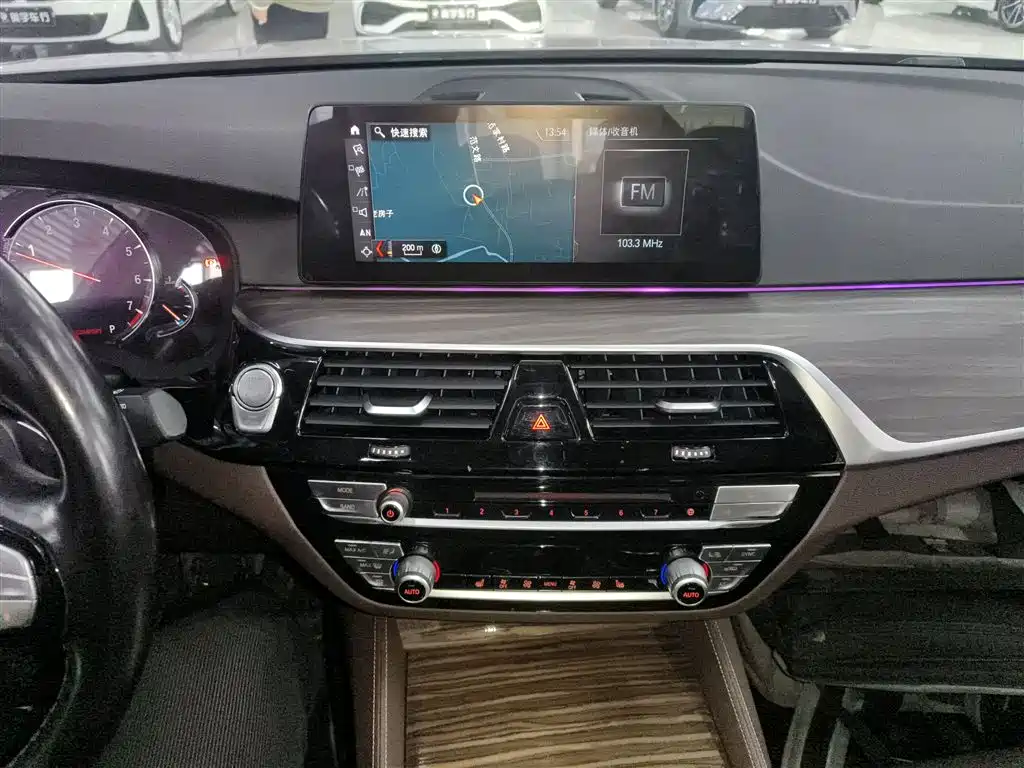 BMW 5 Series 2018 530Li Leading Luxury Package фото 12