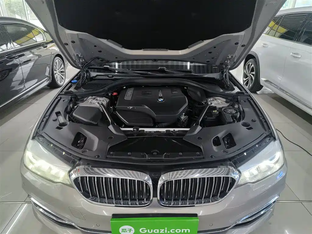 BMW 5 Series 2018 530Li Leading Luxury Package фото 19