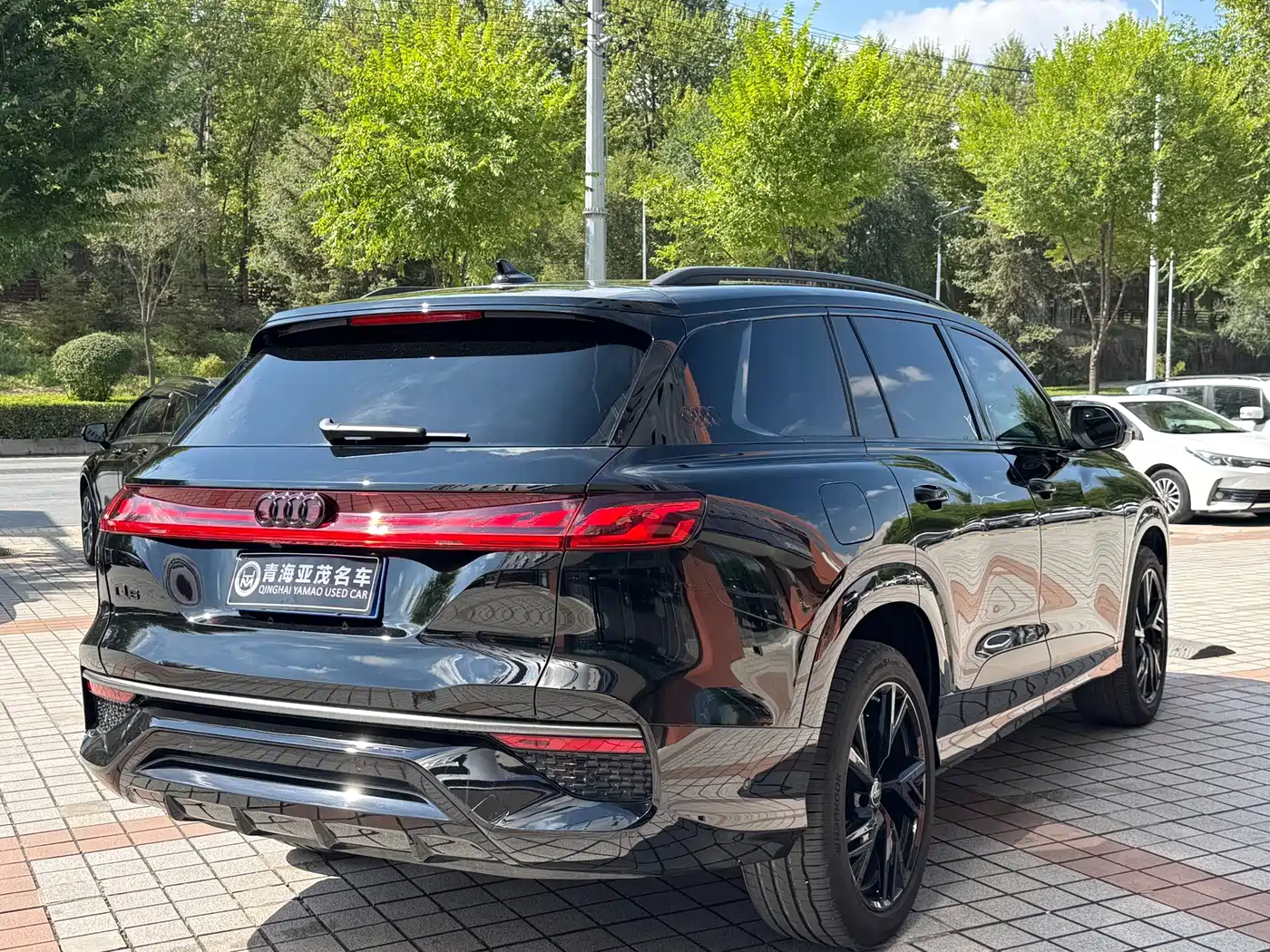 Audi Q6 2025 2024 45 TFSI quattro Black Warrior Edition 6-seater