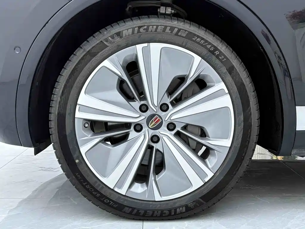 Hongqi E-HS9 2023 2022 690km Qi Xiang Edition (6-seater)