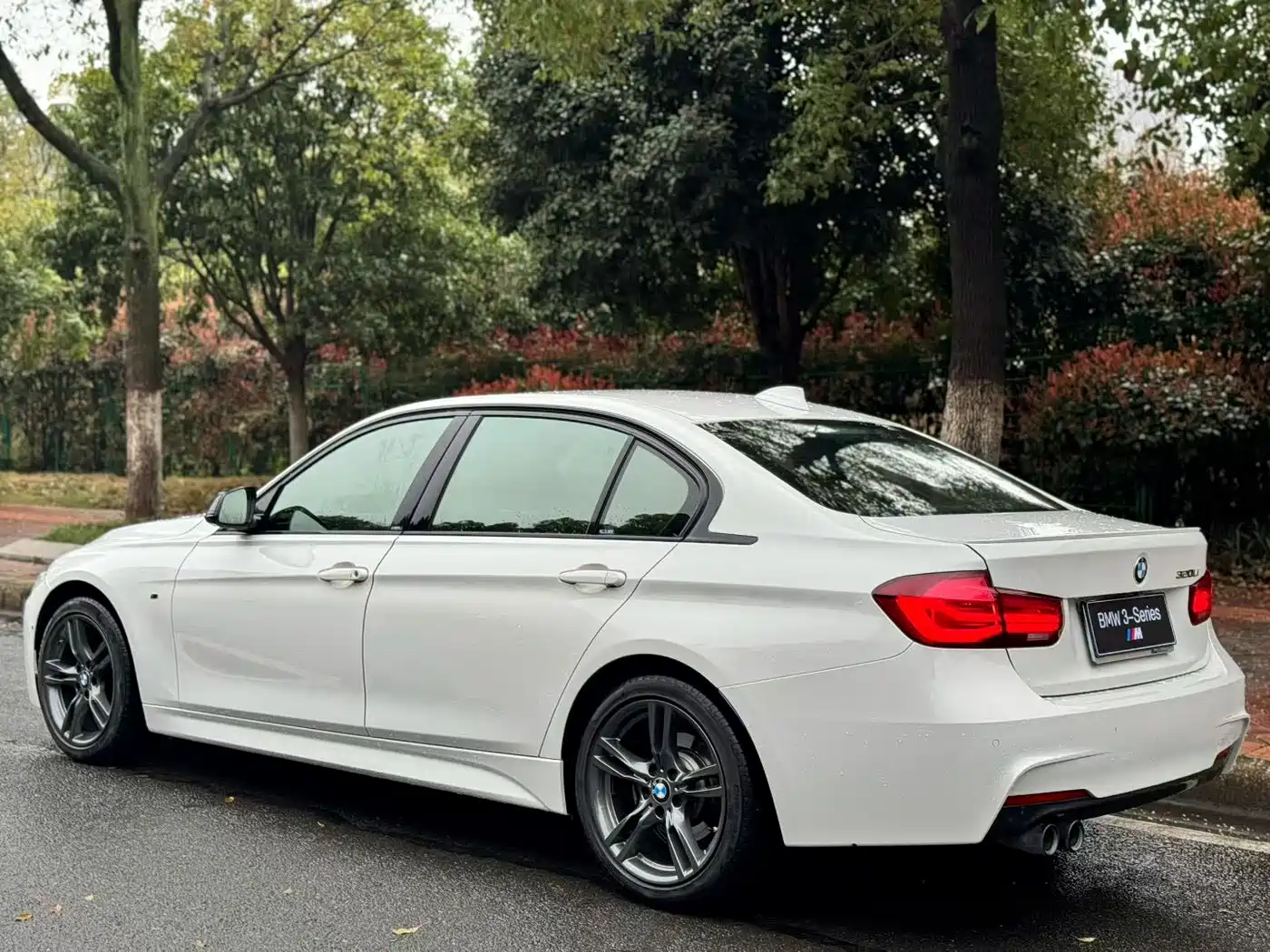 BMW 3 Series 2018 320Li M Sport Black Night Edition фото 9