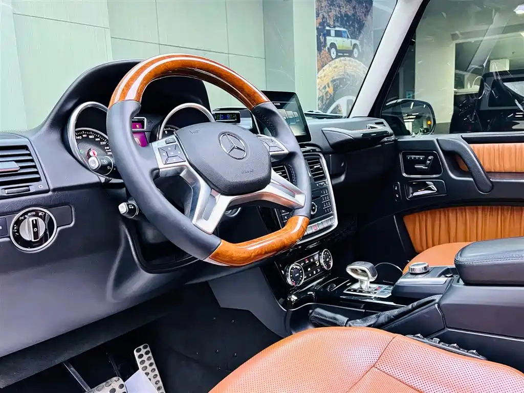 Mercedes-Benz G-Class 2016 G 500 фото 8
