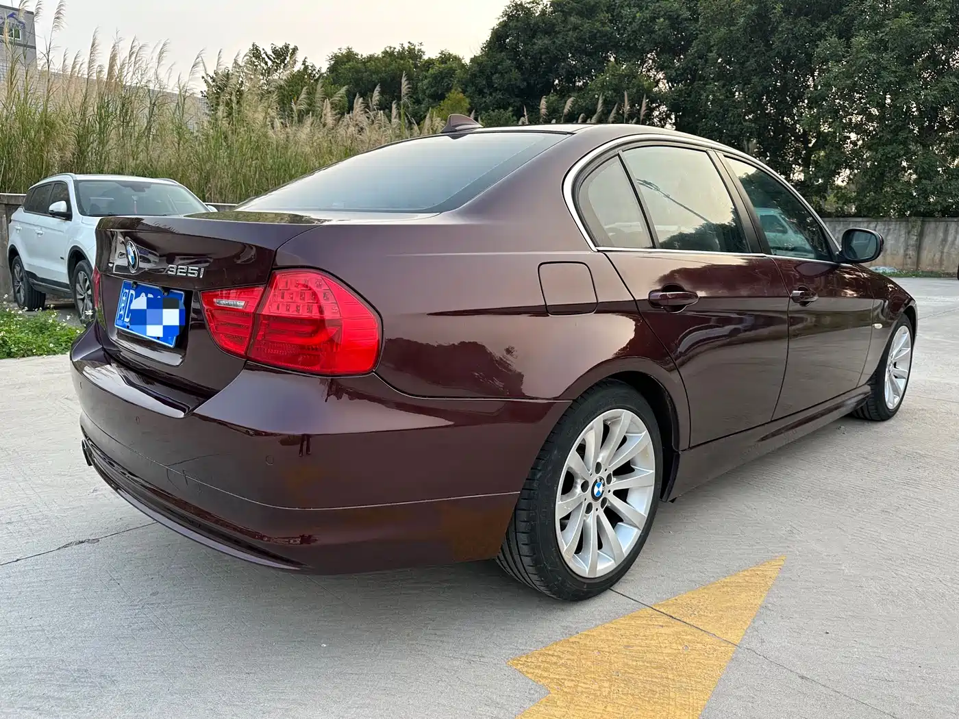 BMW 3 Series (Import) 2010 325i Luxury фото 7