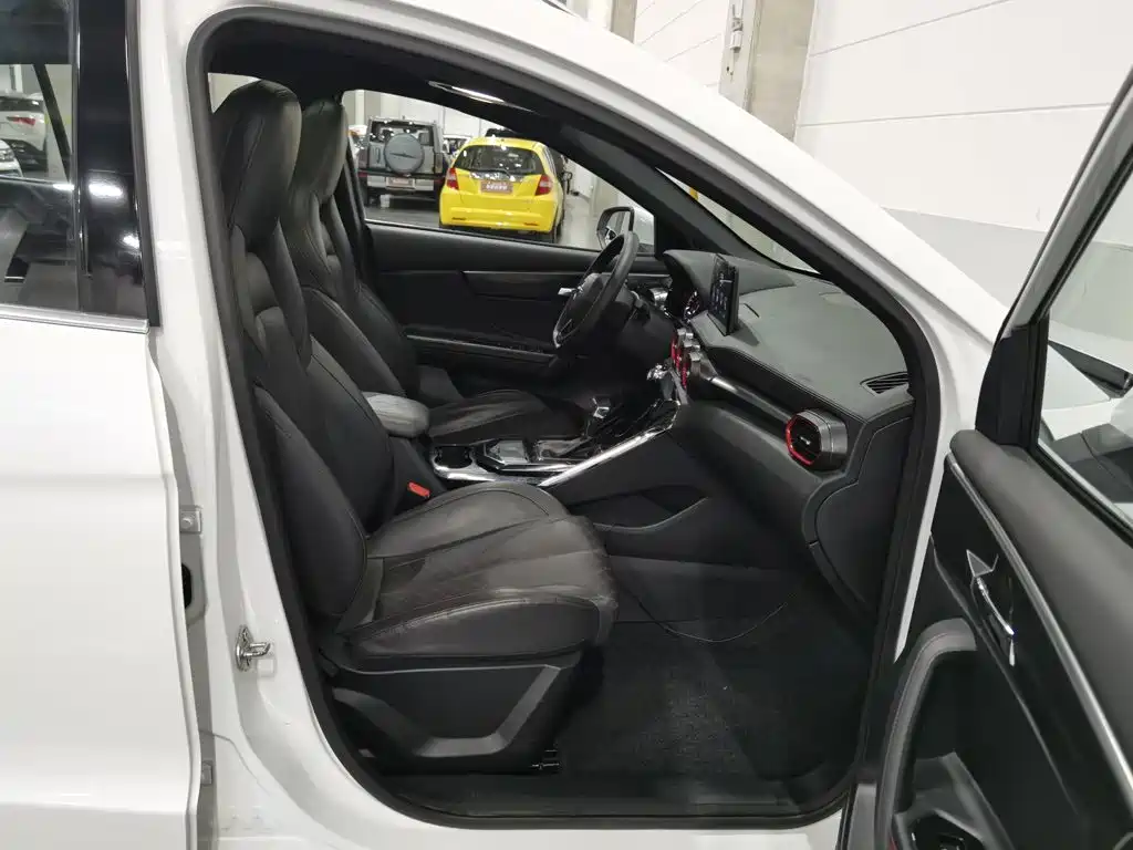 Фото 23 - Haima 8S