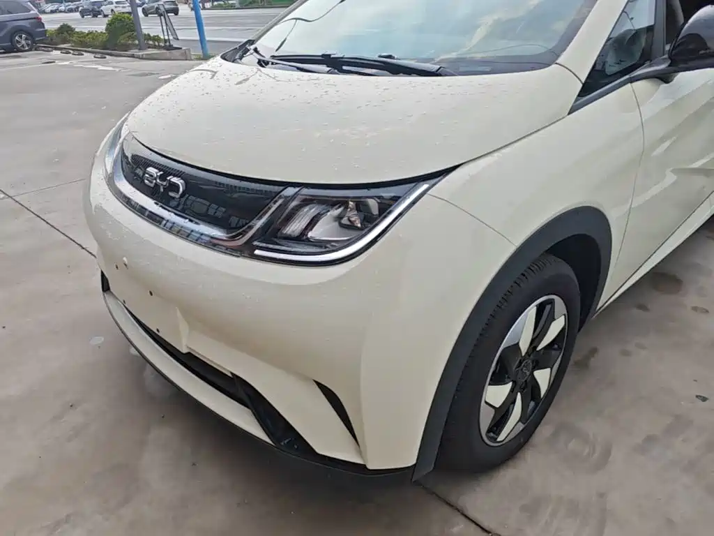 BYD Dolphin 2026 2025 420km Freedom Edition