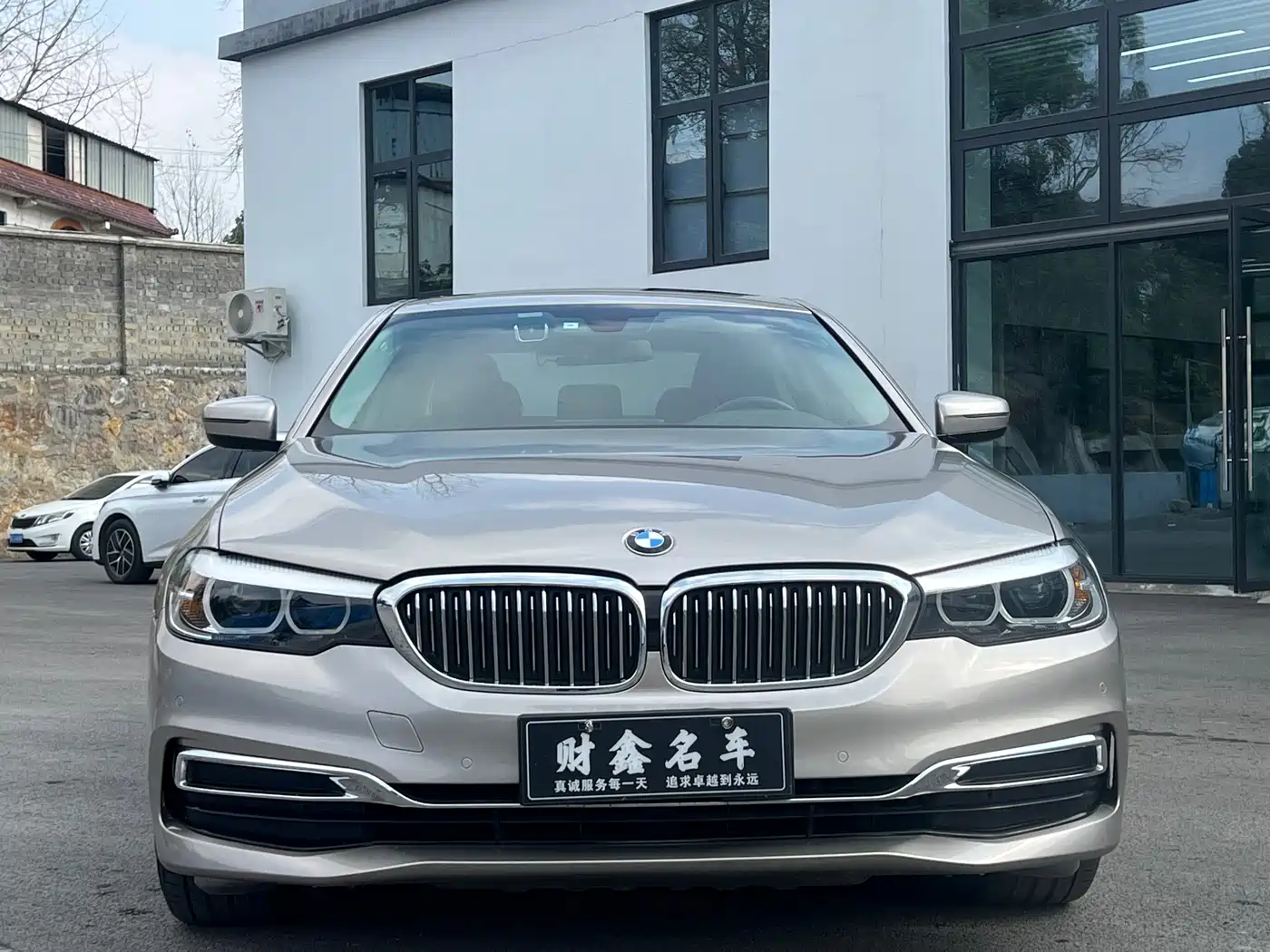 BMW 5 Series 2020 525Li Luxury Package фото 3