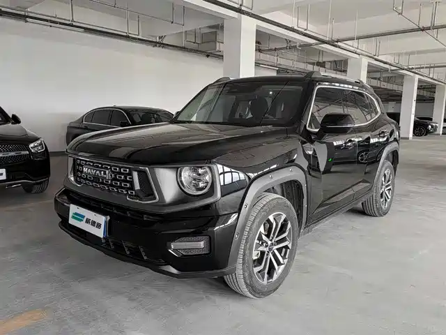 HAVAL SECOND GENERATION BIG DOG