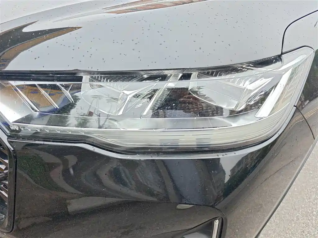 Haval H6 2021 3rd Generation 2.0T Auto 2WD Max фото 24