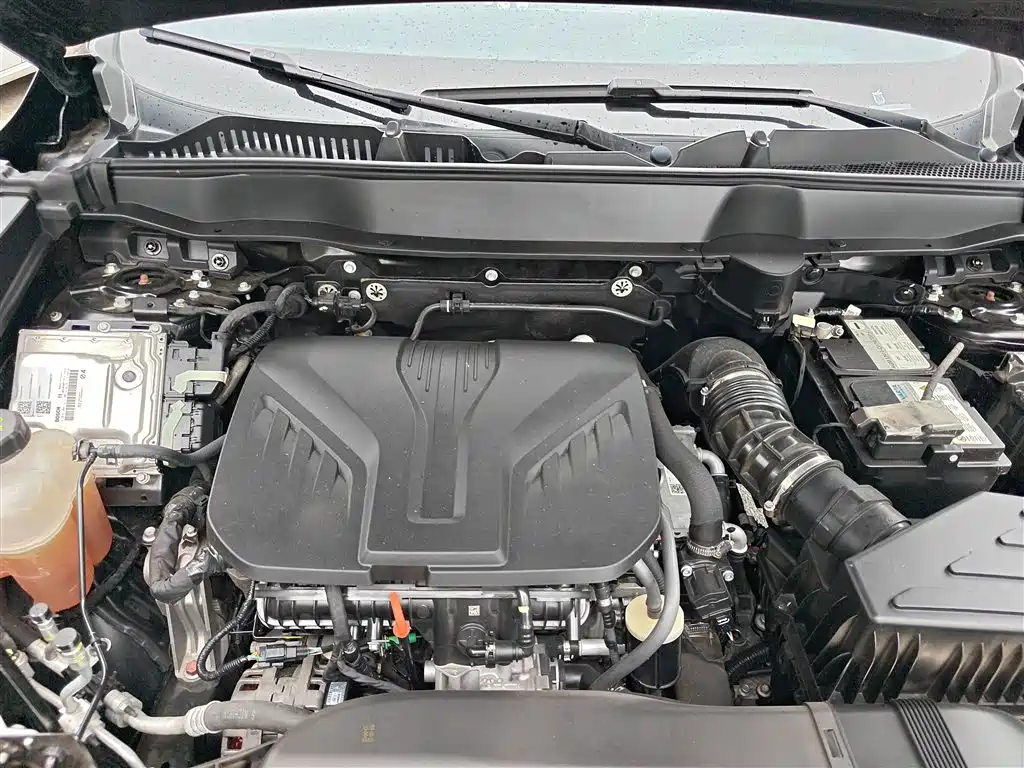 Haval H6 2021 3rd Generation 2.0T Auto 2WD Max фото 20