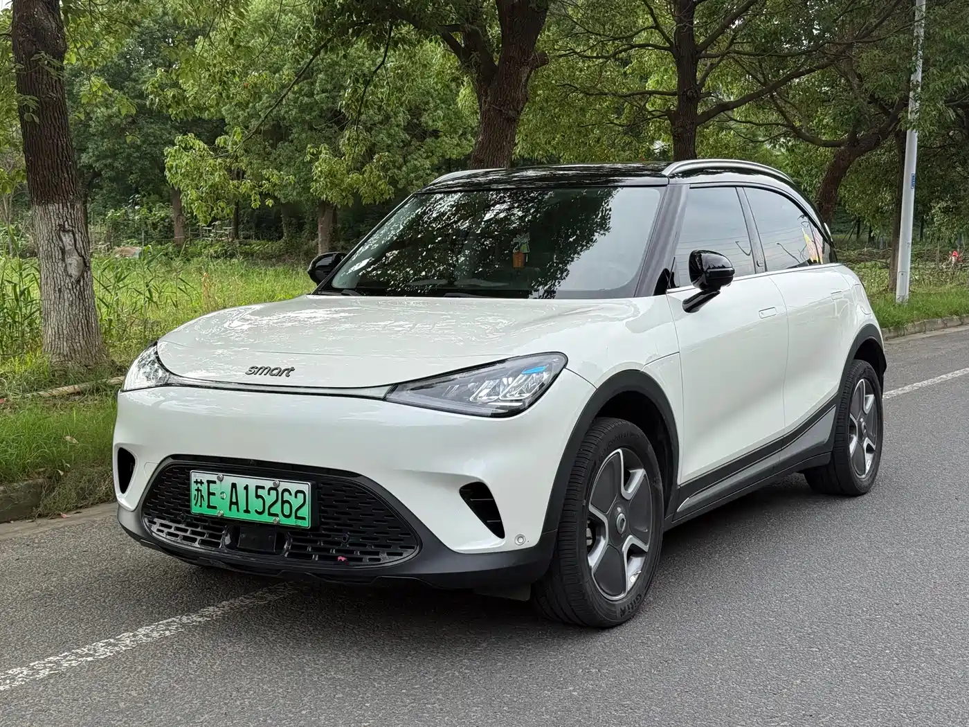 smart Elf #1 2022 Pro+ Edition