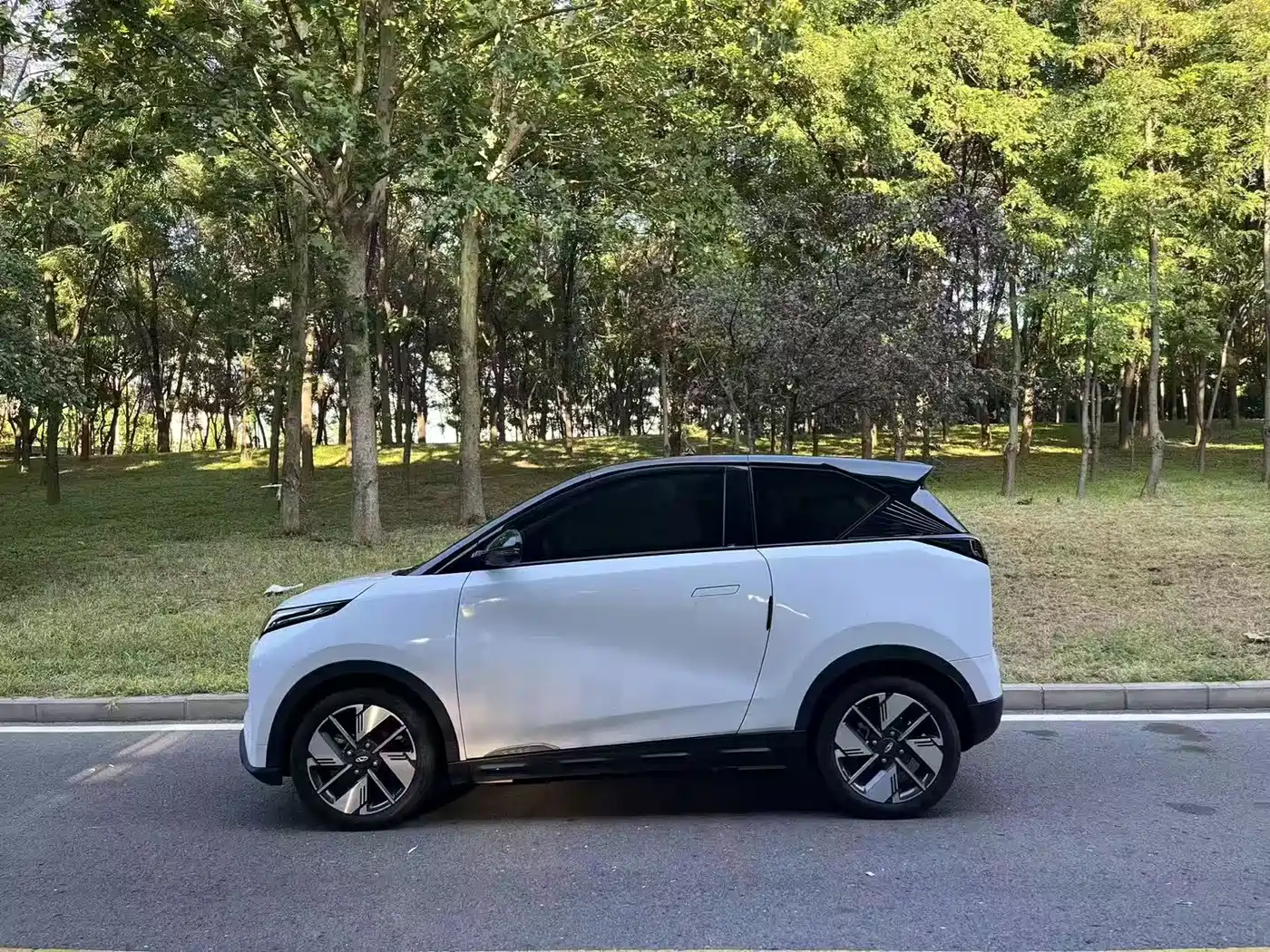 Chery New Energy Chery Wujie Pro 2022 2022 Model 301km Mythical Beast Edition NCM