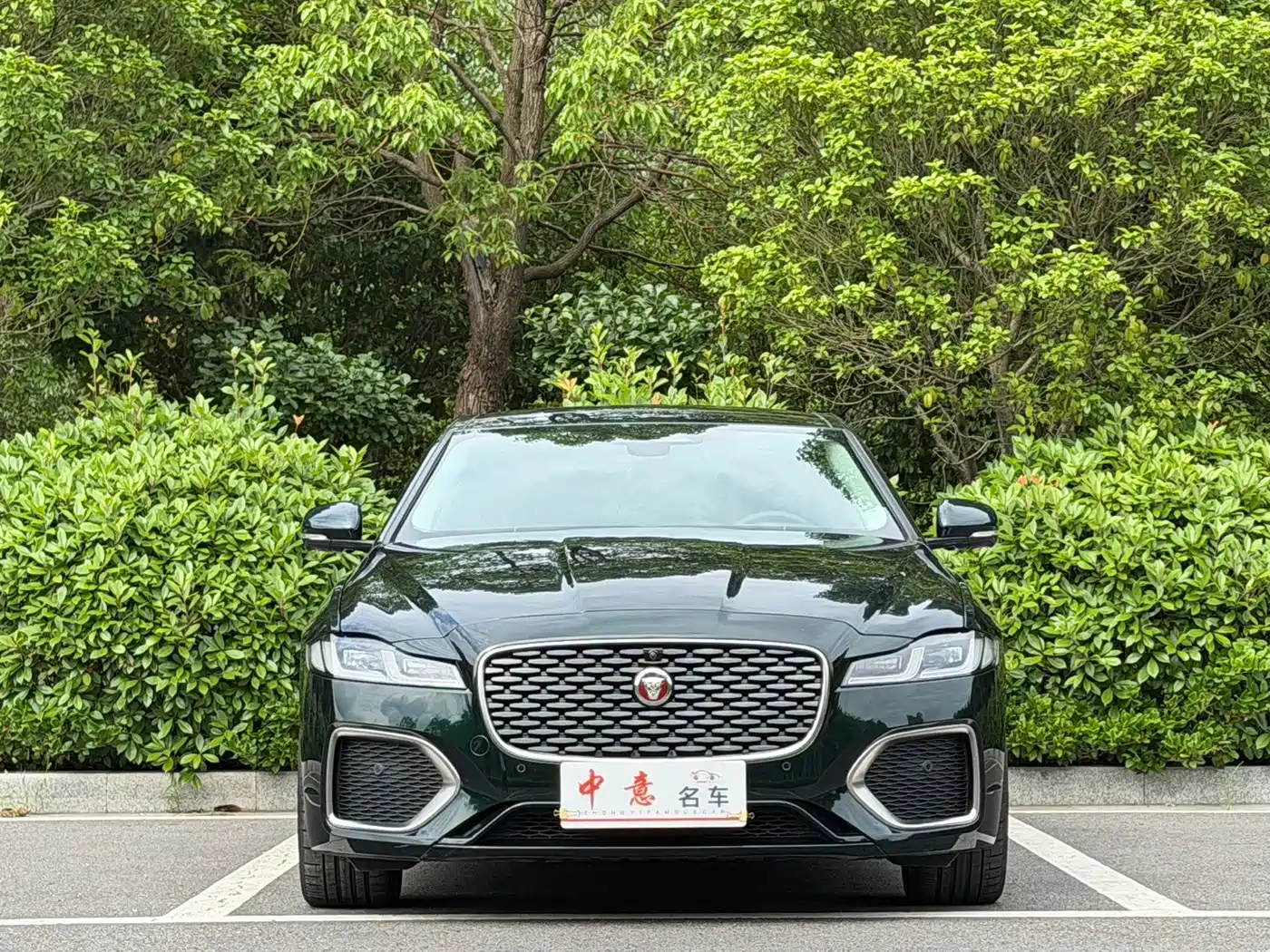 Jaguar XFL 2024 2024 2.0T P250 2WD Premium Luxury