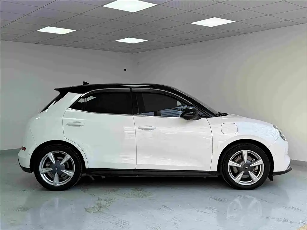 Ora Good Cat 2021 2021 400km Standard Range Athena Edition (LFP)