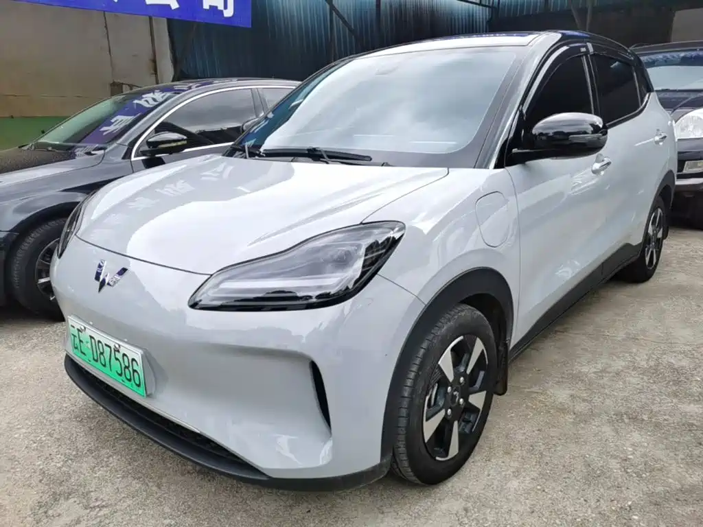 Wuling Motors Wuling Binguo PLUS 2024 Model 330km 5-Seater