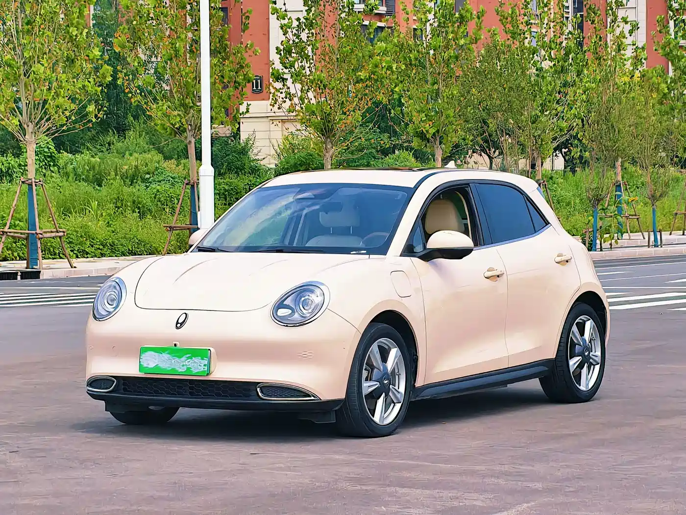 Ora Good Cat 2024 2023 401km Standard Range Honor Edition (LFP)