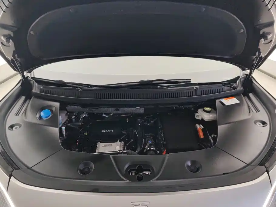 BYD Xia 2025 2025 DM-i 1.5T 180km Surpass Edition