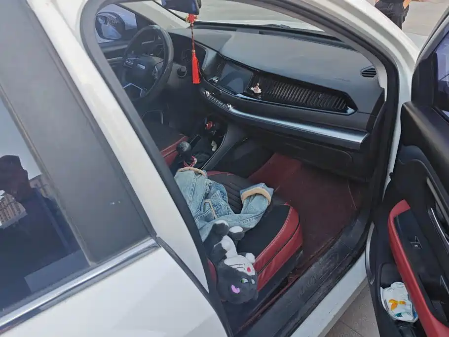 Photo 8 - Haval H2s