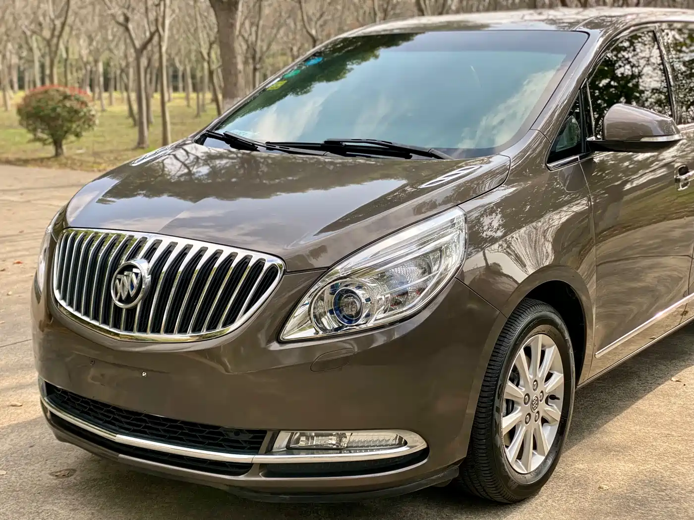 Buick GL8 2013 3.0L XT Luxury Business Flagship Edition фото 15