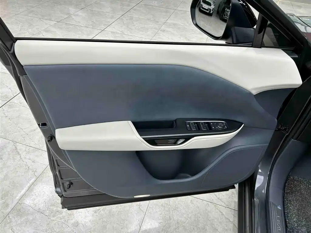 Lexus RZ 2023 450e 4WD Deluxe фото 10
