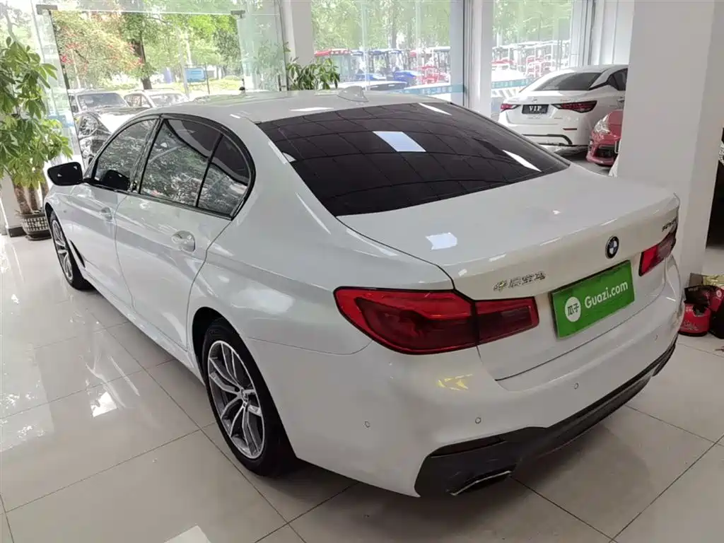 BMW 5 Series 2019 525Li M Sport Package фото 5
