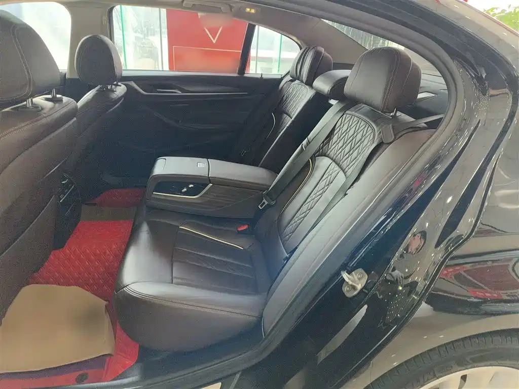 BMW 5 Series 2019 530Li xDrive Luxury Package фото 13