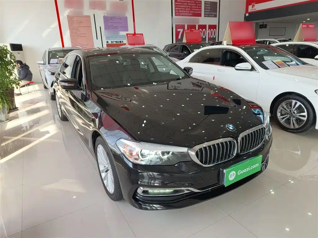 BMW 5 Series 2019 530Li xDrive Luxury Package фото 22