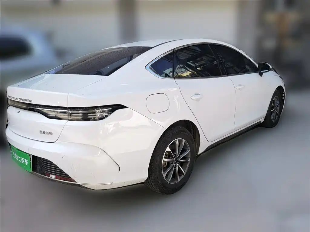 BYD Destroyer 05 2024 Glory Edition DM-i 55KM Luxury фото 4