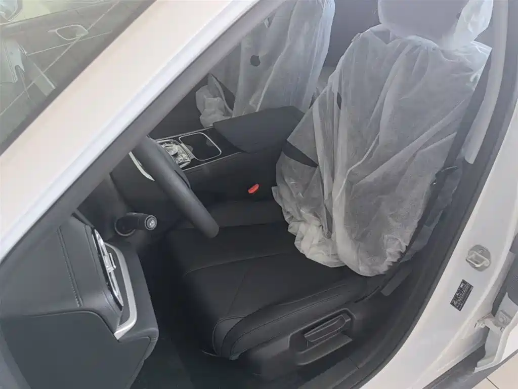 Geely Galaxy Galaxy Stellar 6 2025 Model 125km Free Edition фото 15