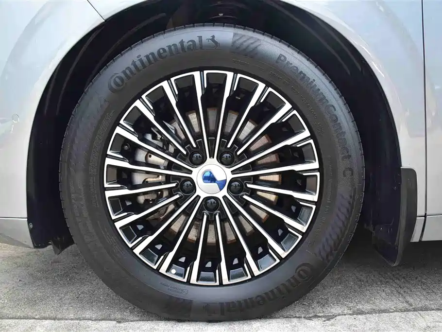 Denza D9 2022 DM-i 970 AWD Flagship фото 20