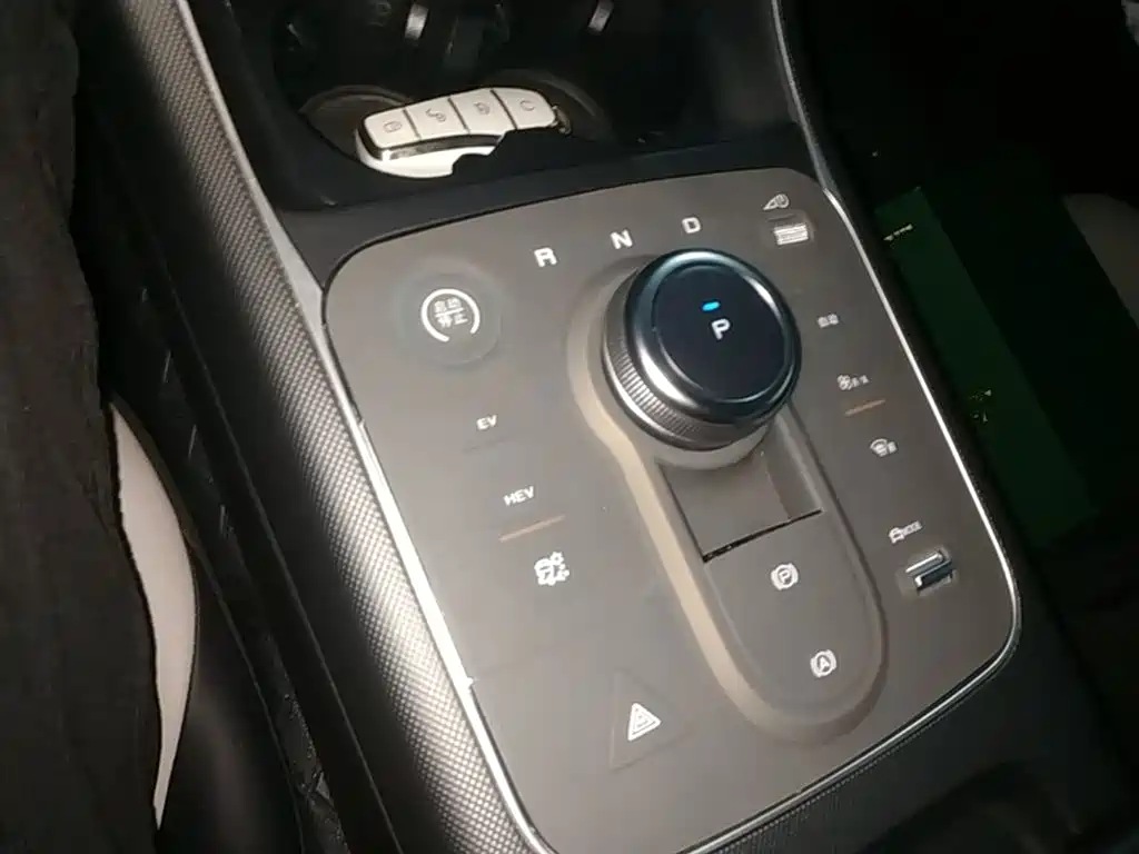 BYD Destroyer 05 2024 Glory Edition DM-i 55KM Luxury фото 14