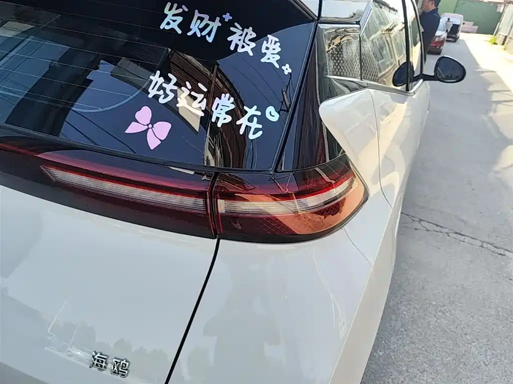 BYD Seagull 2024 Glory Edition 305km Freedom Edition фото 24