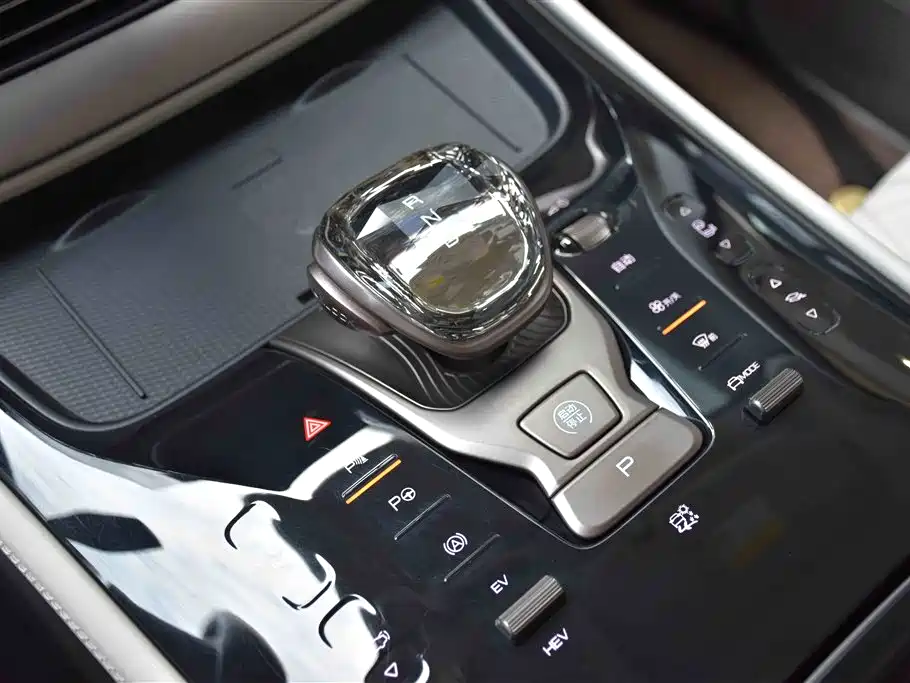 Denza D9 2022 DM-i 970 AWD Flagship фото 12