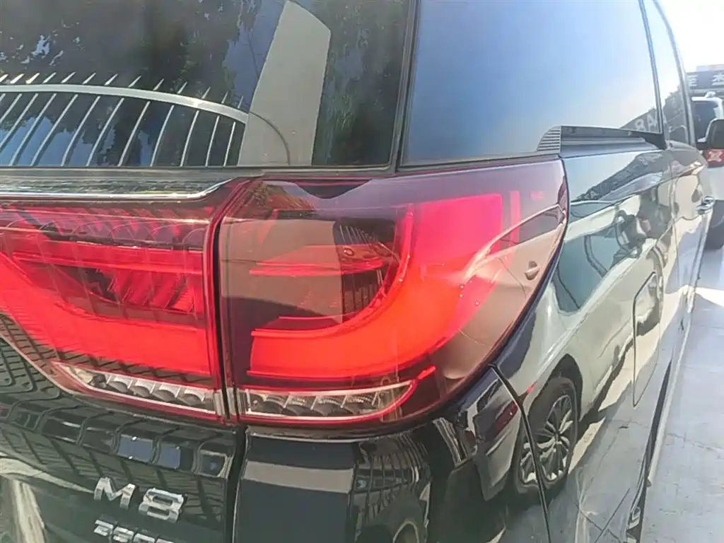 GAC Trumpchi Trumpchi M8 2021 Master Series 390T Prestige Edition фото 8