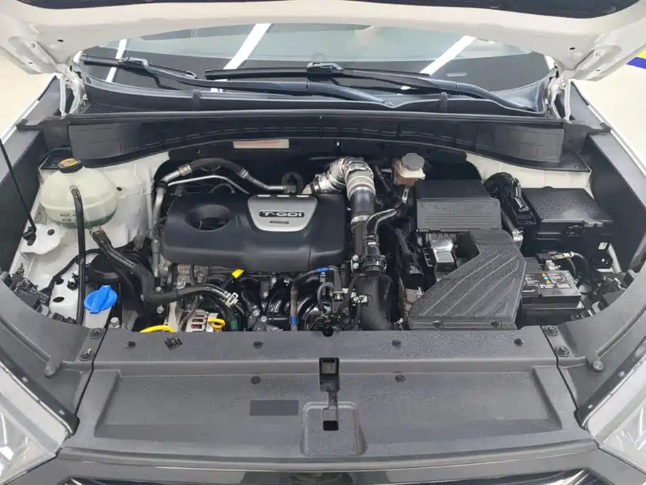 Hyundai Tucson 2020 280TGDi 2WD GLS Fashion (China VI) фото 10