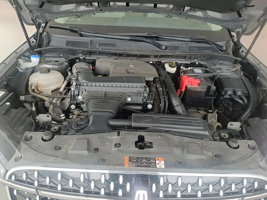 Lincoln Corsair 2024 2023 2.0T 4WD Zunyao Edition