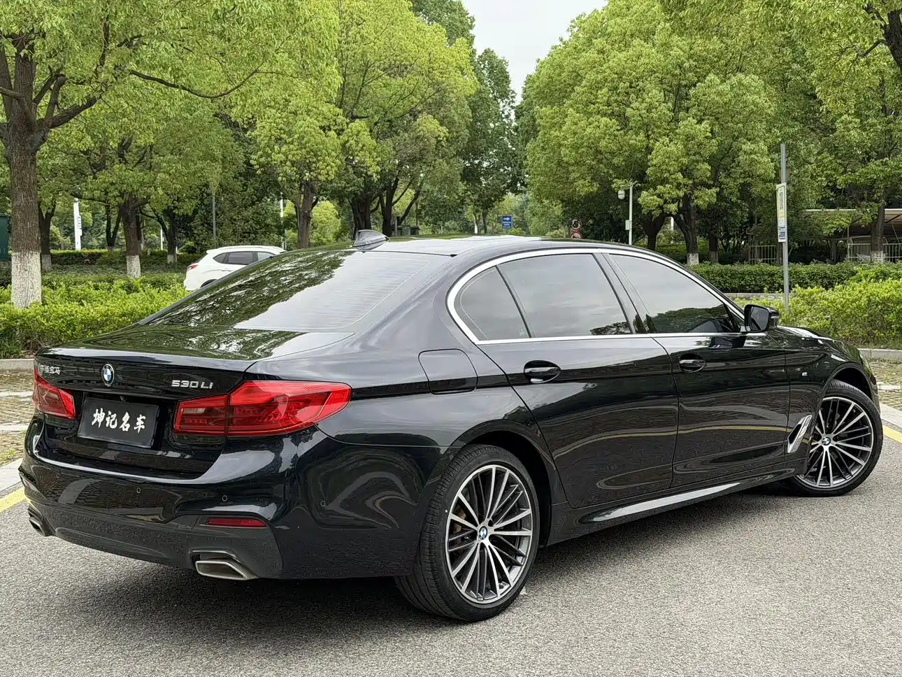 BMW 5 Series 2020 530Li Exclusive M Sport Package фото 14