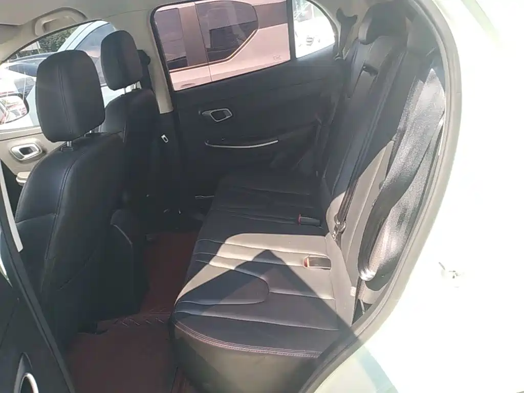 Dayun Yuehu 2022 2022 30.66kWh 2WD VIP Edition