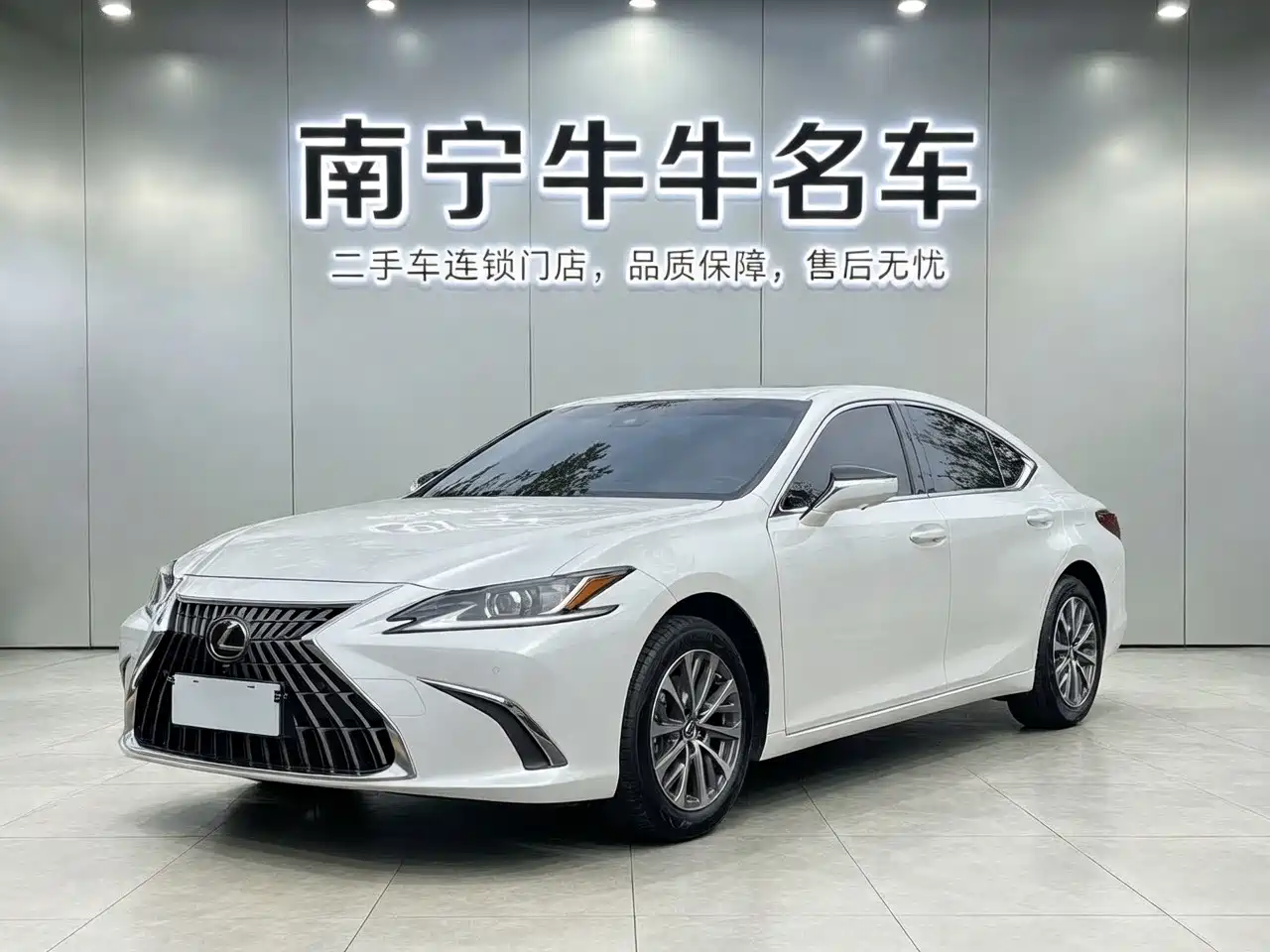 Lexus ES 2023 200 Excellence Edition