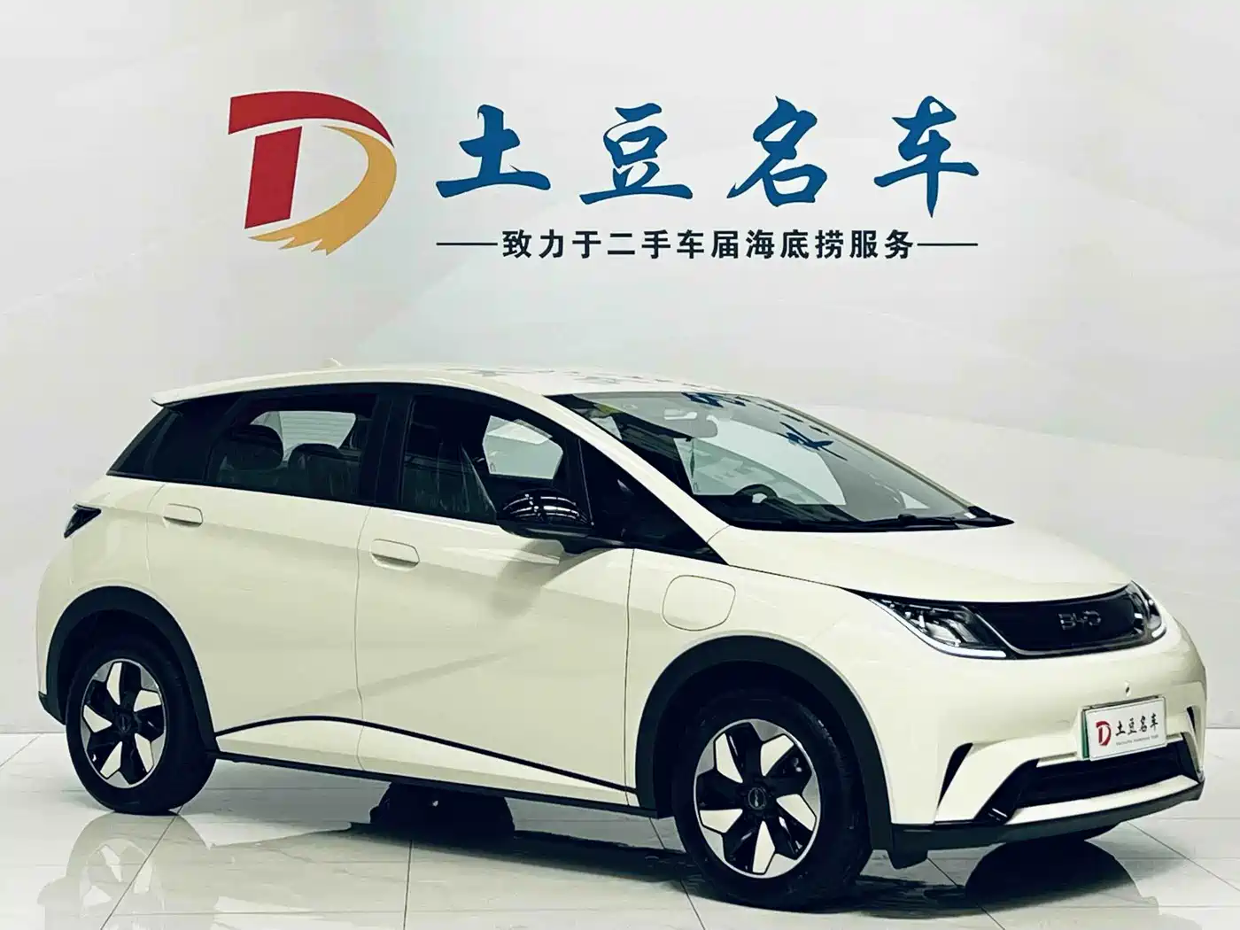 2026 BYD Dolphin