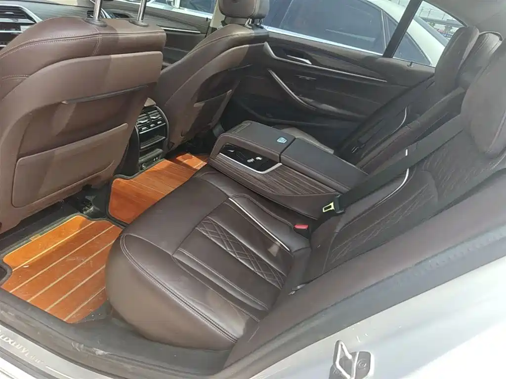 BMW 5 Series 2020 530Li xDrive Luxury Package фото 17