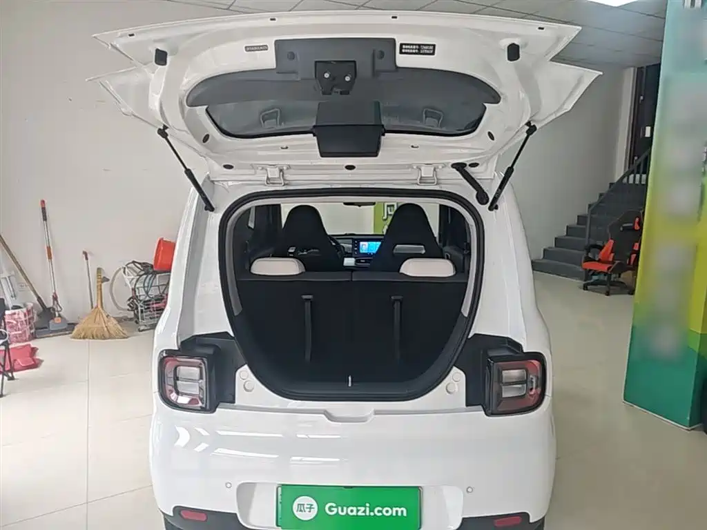 Geely Galaxy Panda 2025 Panda mini 210km Vitality Bear фото 19