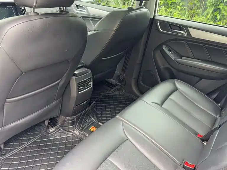 Фото 4 - Roewe RX5