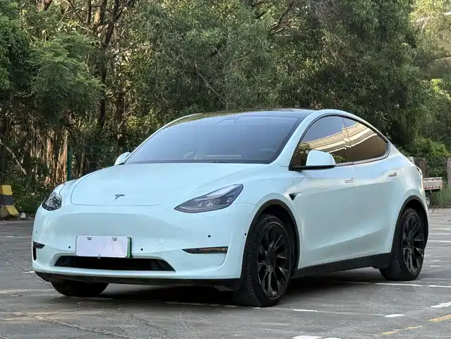 Tesla Model Y Стандартный запас хода, задний привод