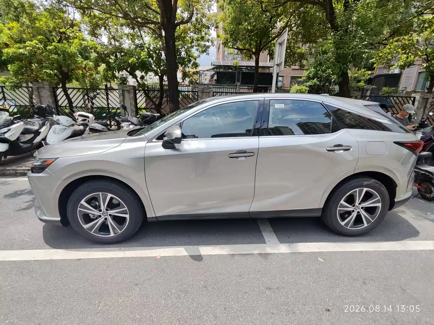 2026 Lexus RX
