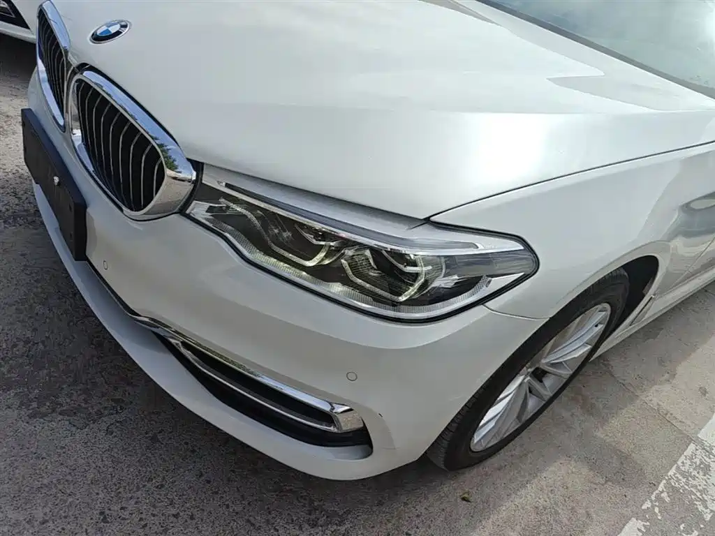 BMW 5 Series 2020 530Li xDrive Luxury Package фото 24